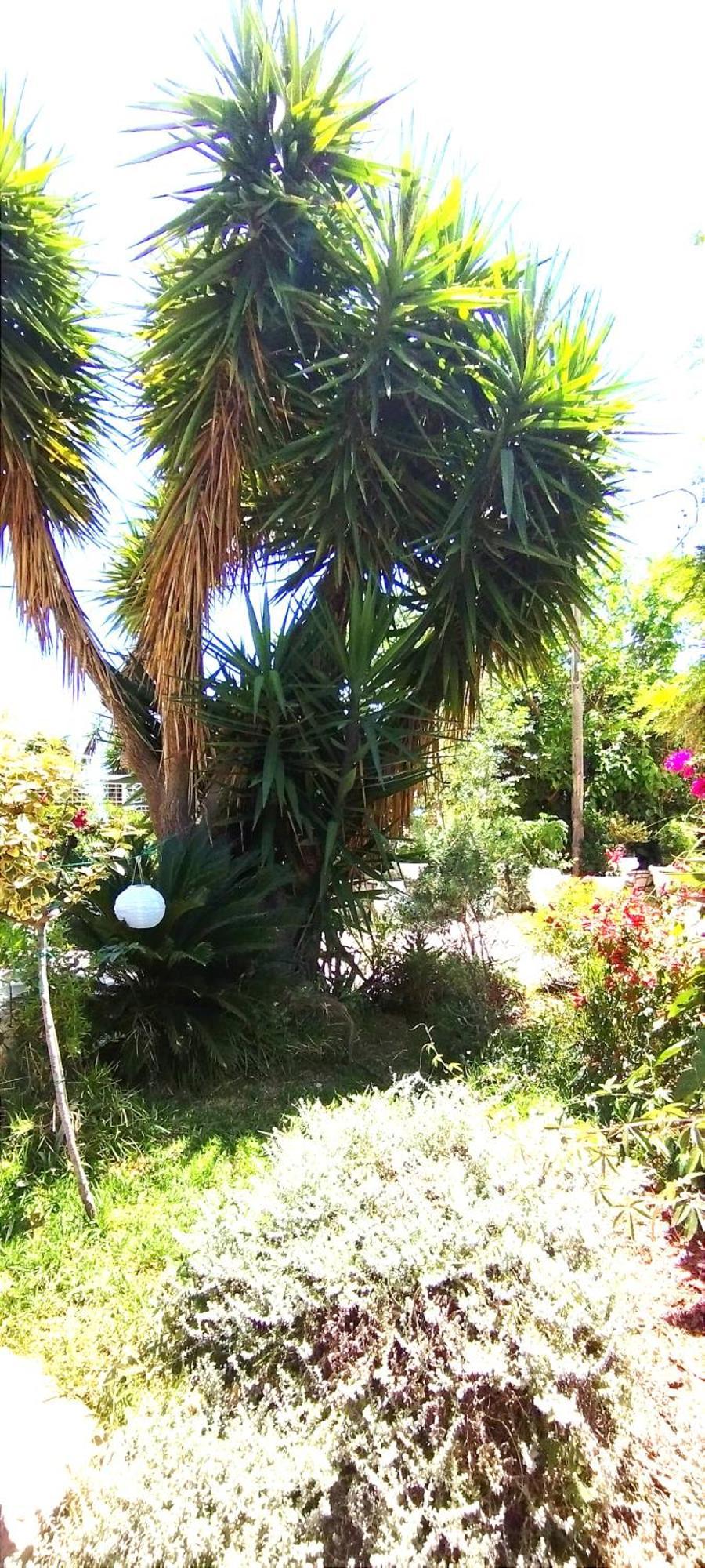Aleka'S House Hotel Никиана Екстериор снимка