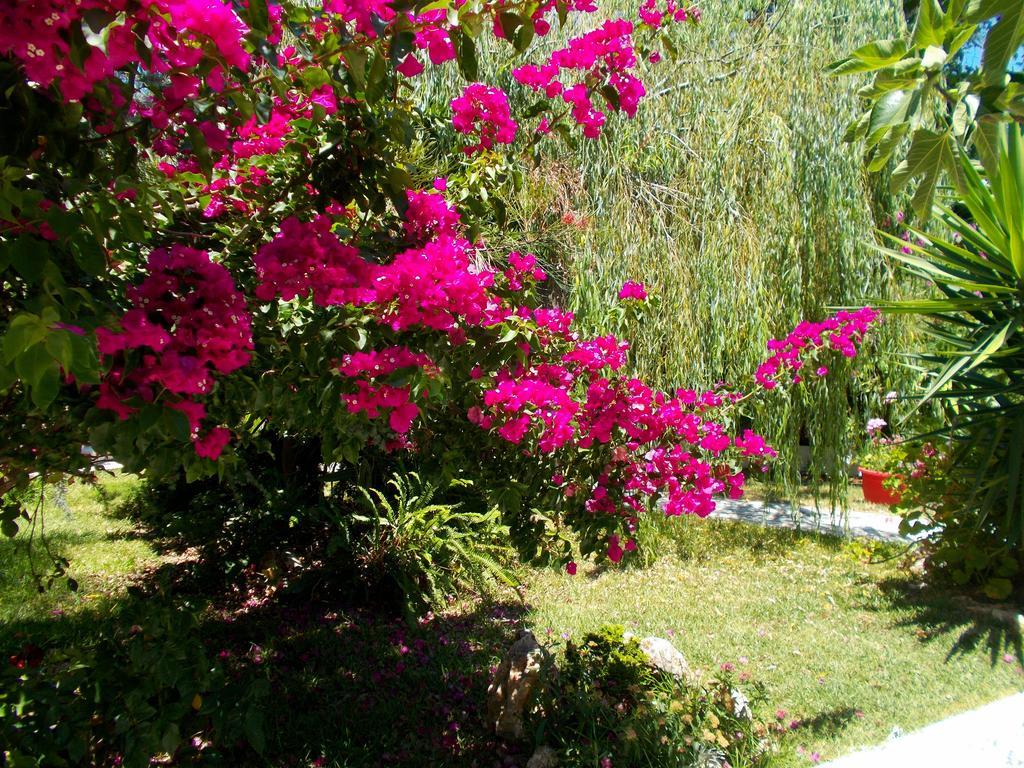 Aleka'S House Hotel Никиана Екстериор снимка